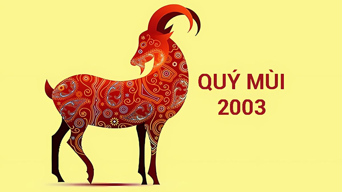 nguoi sinh nam 2003 quy mui thuoc menh moc cu the la nap am duong lieu moc Người sinh năm 2003 (Quý Mùi) thuộc mệnh Mộc, cụ thể là nạp âm Dương Liễu Mộc
